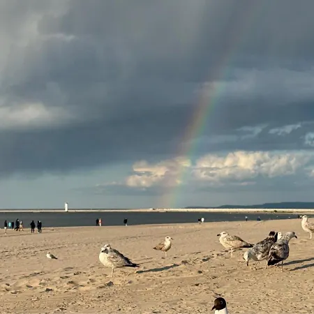 アパート Zacisze Lesne - Visitopl