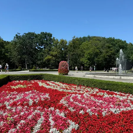 Zacisze Lesne - Visitopl * Świnoujście