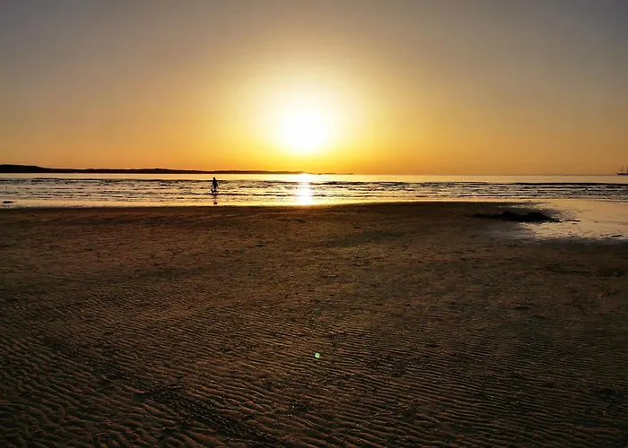 Apartment Apartamenty Zacisze Lesne - Visitopl *